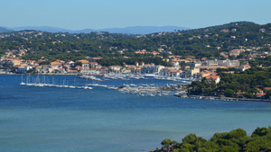 Traitement punaises de lit Aubagne